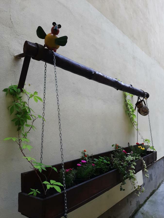 Luky10 Apartment Brasov Bagian luar foto